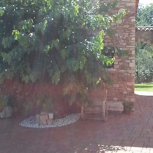 Bed&Breakfast Giardini di Corte